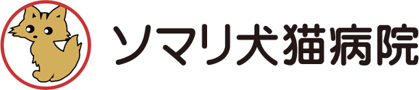 株式会社ソマリ