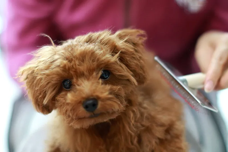 志を持って向き合う努力のある現場