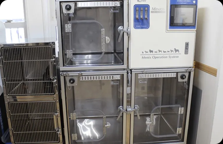 ICU(Menix Operation System)