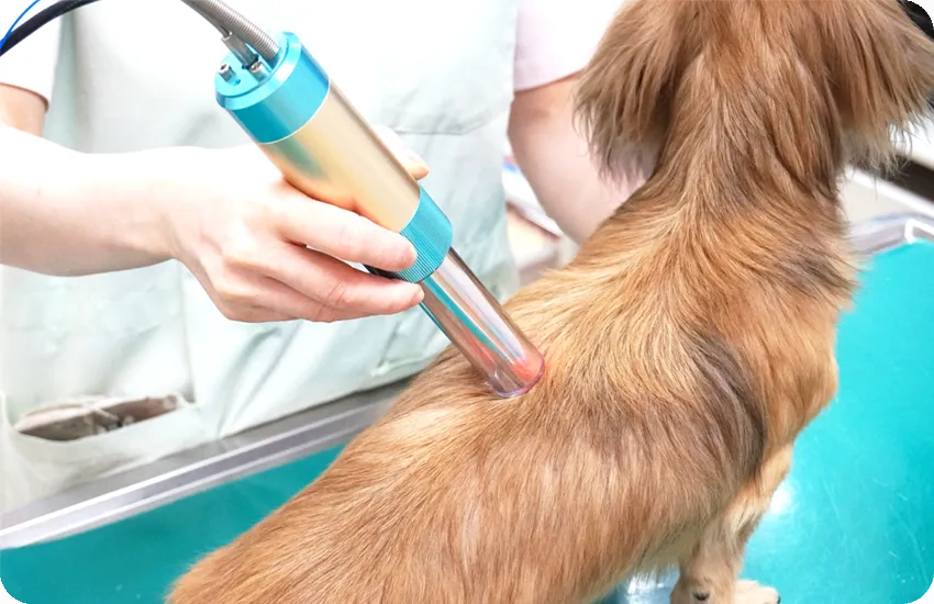 半導体レーザー