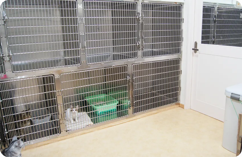 猫入院舎