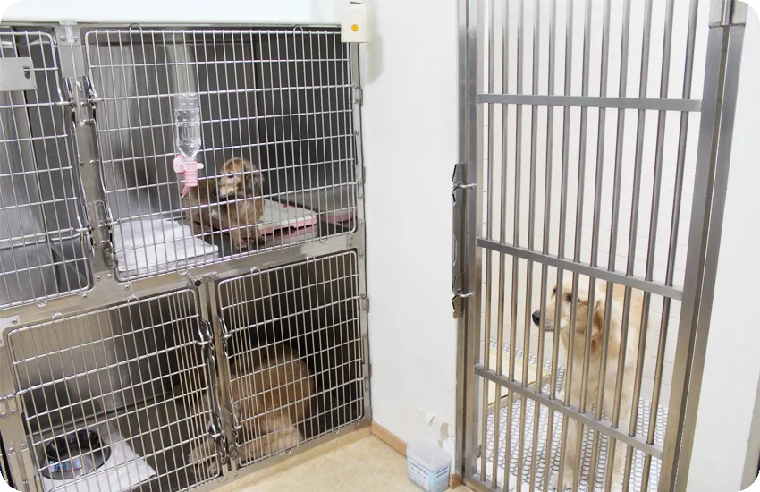 犬入院舎