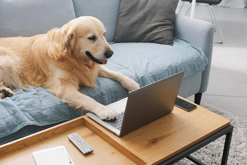 落ち着いて来院できる予約制を採用