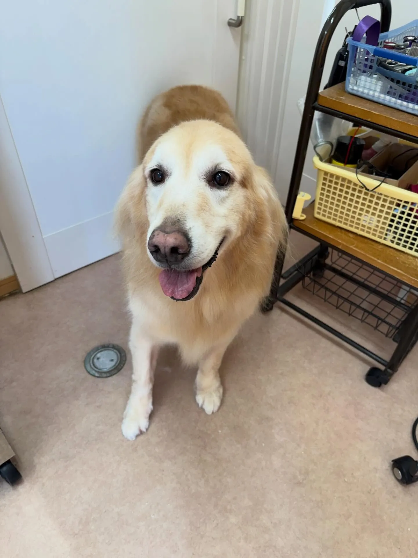 れいなちゃん♡